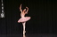 dsc07220