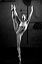 id_pose_sw_03