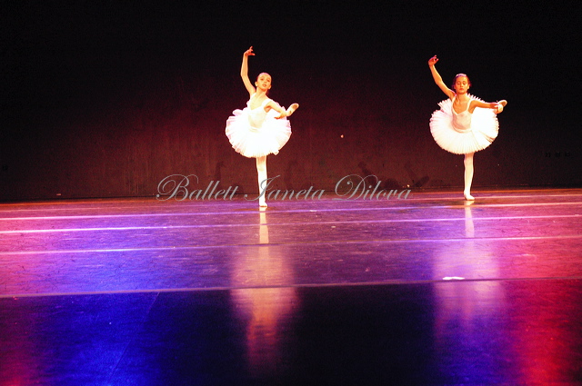 dn-0010-7921.jpg